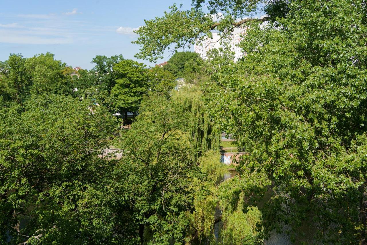 Apartament Wyspa Zieleni Apartment *